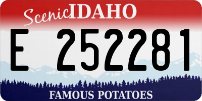 ID license plate E252281