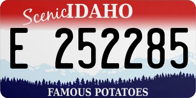 ID license plate E252285