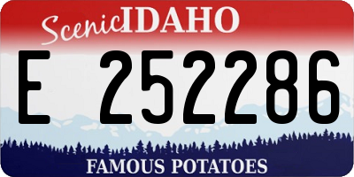 ID license plate E252286