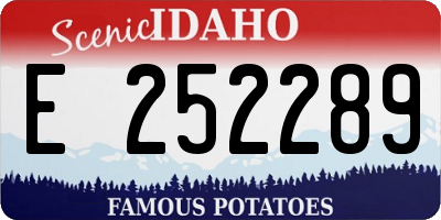 ID license plate E252289