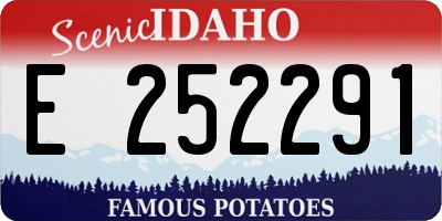 ID license plate E252291