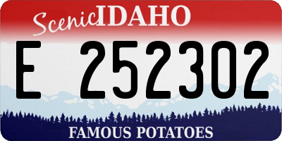 ID license plate E252302