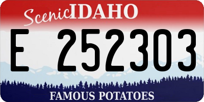 ID license plate E252303