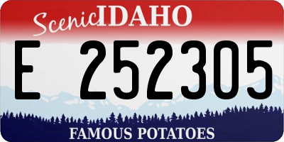 ID license plate E252305