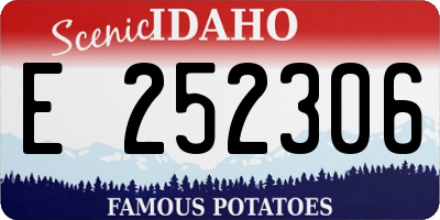 ID license plate E252306
