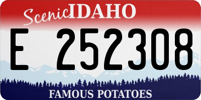 ID license plate E252308
