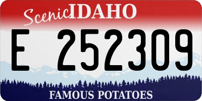 ID license plate E252309
