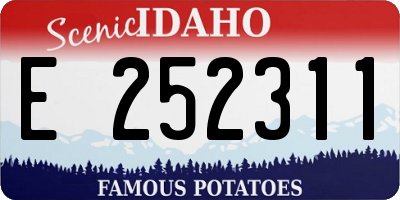 ID license plate E252311