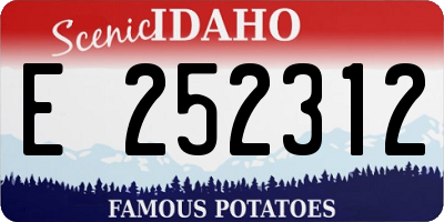 ID license plate E252312