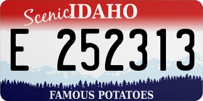 ID license plate E252313