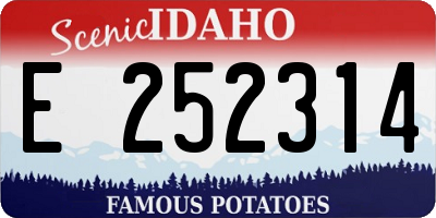 ID license plate E252314