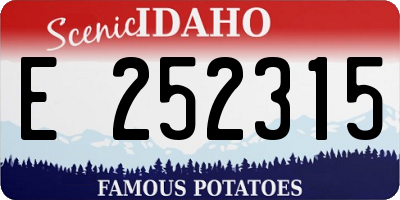 ID license plate E252315