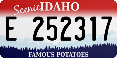 ID license plate E252317