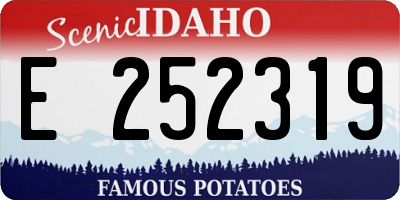 ID license plate E252319
