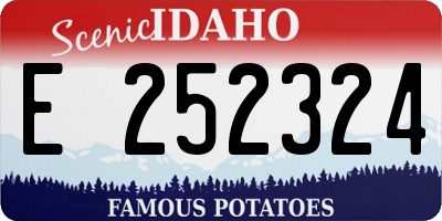 ID license plate E252324