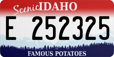 ID license plate E252325