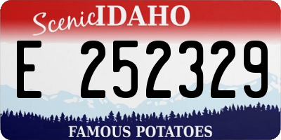ID license plate E252329