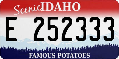 ID license plate E252333