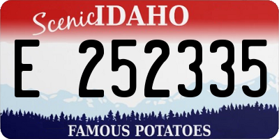 ID license plate E252335