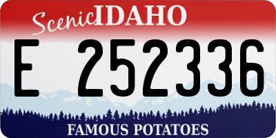 ID license plate E252336