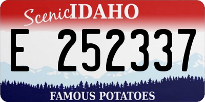 ID license plate E252337