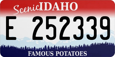 ID license plate E252339