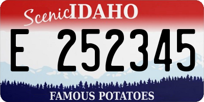 ID license plate E252345