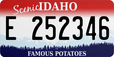ID license plate E252346