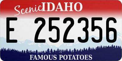 ID license plate E252356