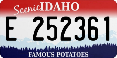 ID license plate E252361