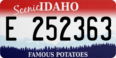 ID license plate E252363