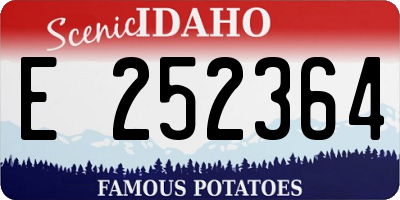 ID license plate E252364