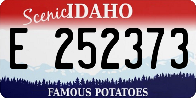 ID license plate E252373