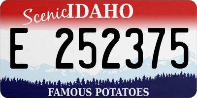 ID license plate E252375