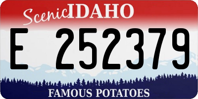 ID license plate E252379