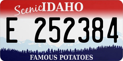 ID license plate E252384