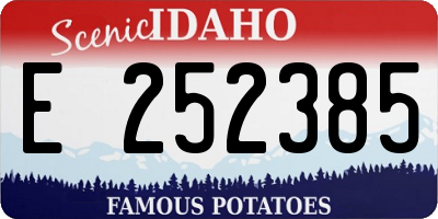 ID license plate E252385