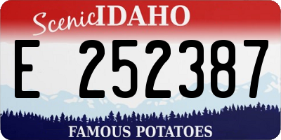 ID license plate E252387