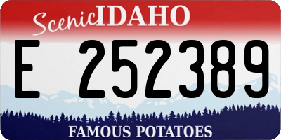 ID license plate E252389