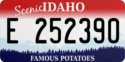 ID license plate E252390