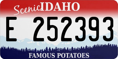 ID license plate E252393