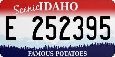 ID license plate E252395