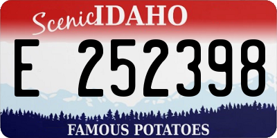 ID license plate E252398