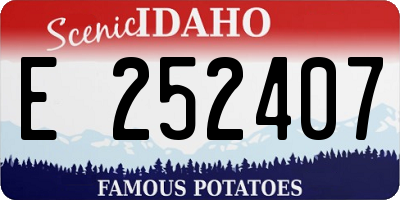ID license plate E252407
