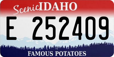 ID license plate E252409