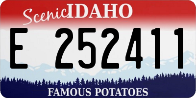 ID license plate E252411
