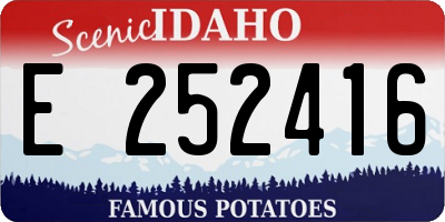 ID license plate E252416