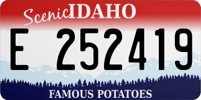 ID license plate E252419