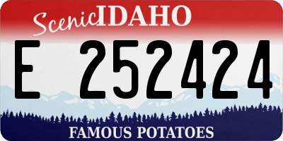 ID license plate E252424