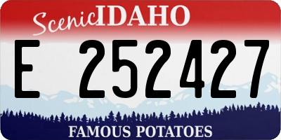 ID license plate E252427